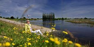Naturschutzgebiet Borghorster Elblandschaft