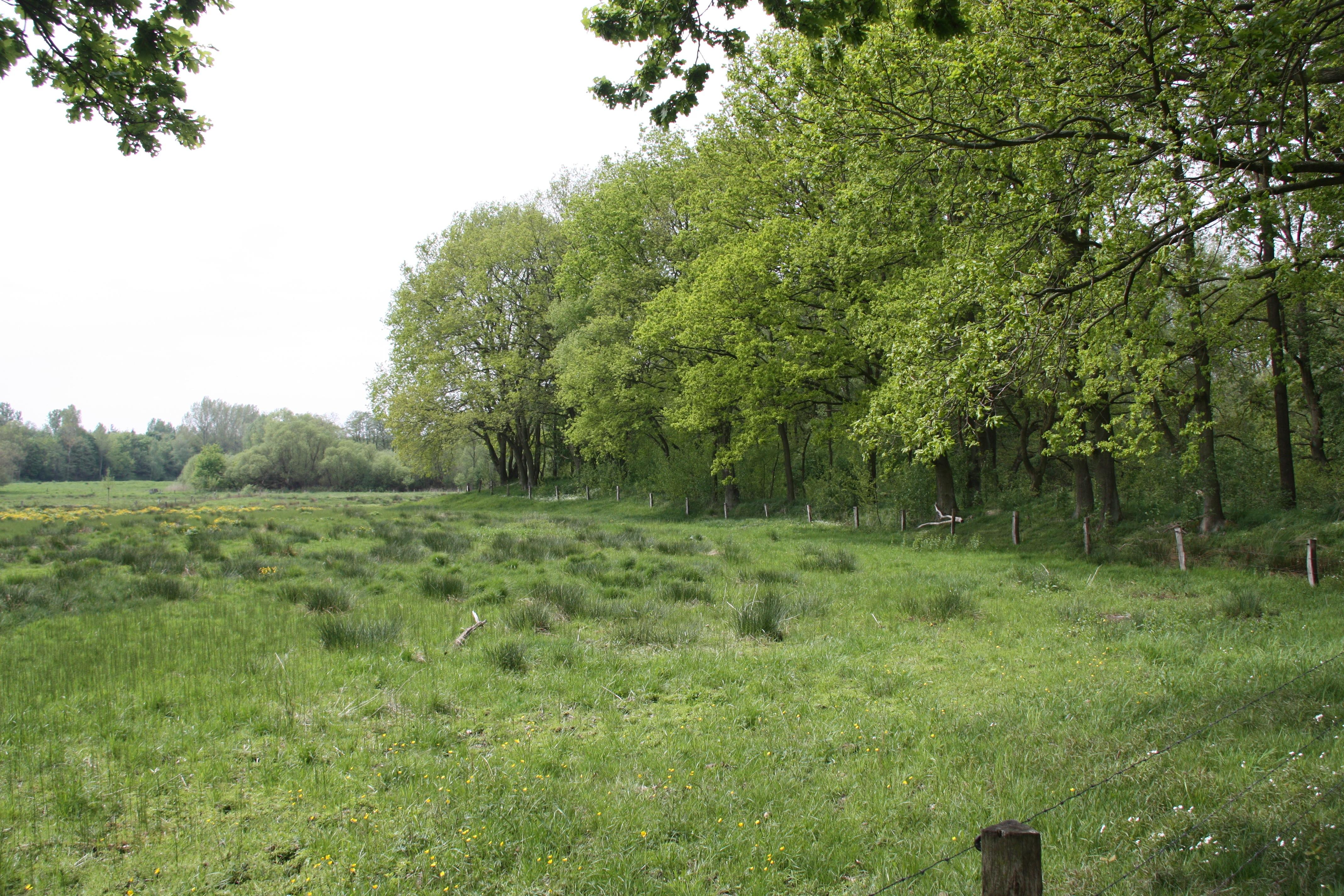 Stellmoorer Tunneltal